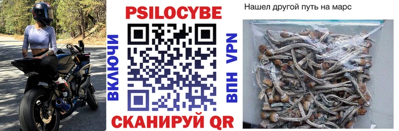 Псилоцибиновые грибы мицелий  OMG маркетплейс  Новомичуринск  цены  